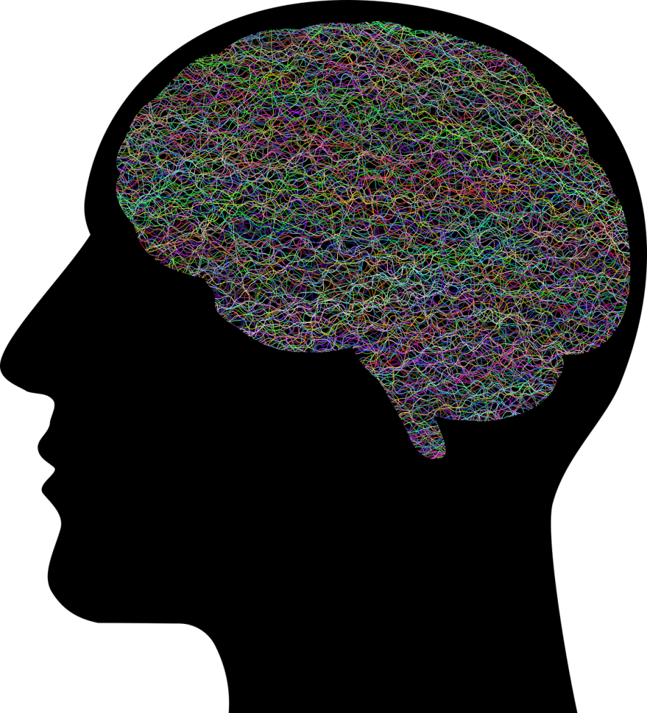 cerveau, pense, psychologie